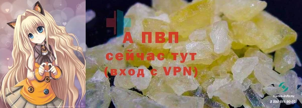 гидра Алексеевка