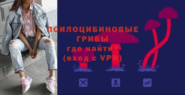 Альфа ПВП Алзамай