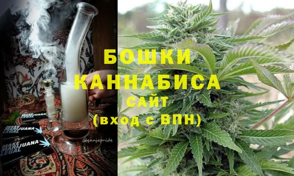 гидра Алексеевка