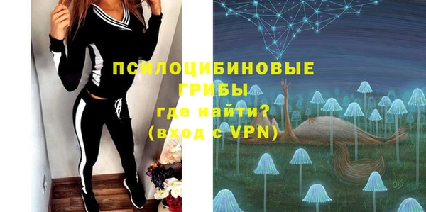 Альфа ПВП Алзамай