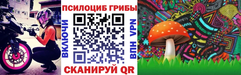 Псилоцибиновые грибы Psilocybe что такое мориарти формула Калач-на-Дону